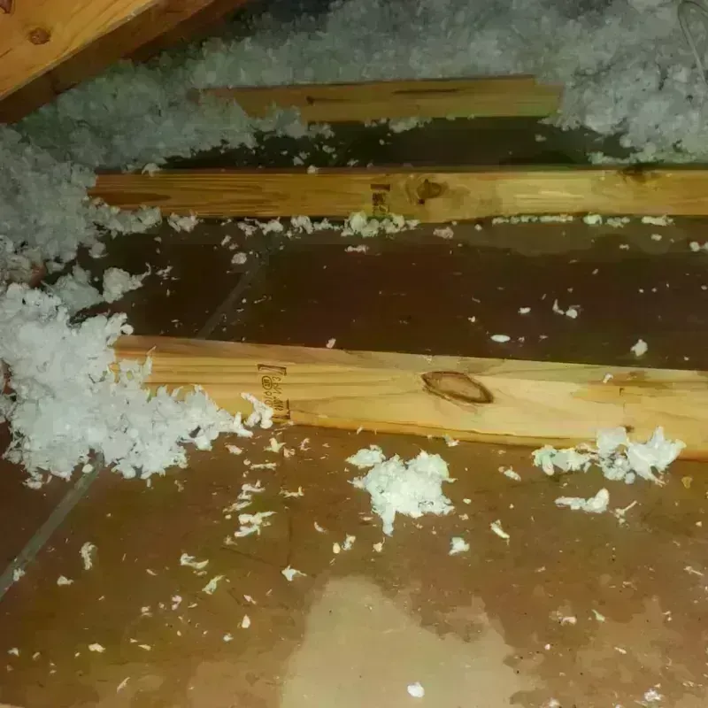 Attic Water Damage in Wellesley, MA